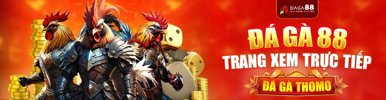Đá Gà Trực Tuyến Hấp Dẫn tại MM88O Nhà Cái